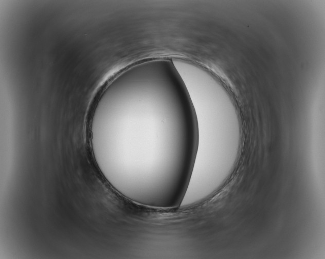 X0000087321173200704200733