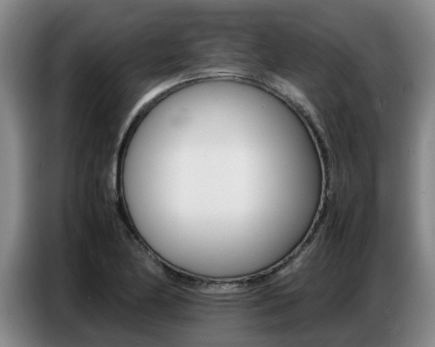 X0000087321174200704200733