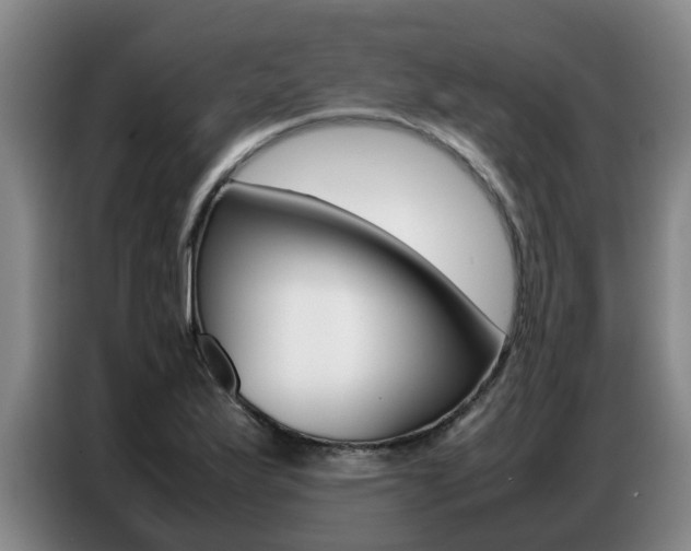 X0000087321175200704200733