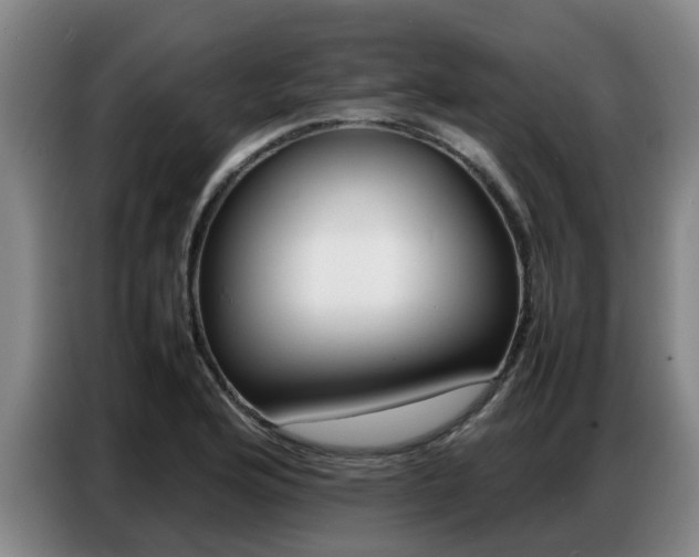 X0000087321176200704200733