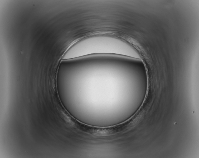 X0000087321177200704200733