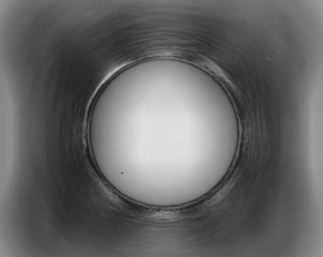 X0000087321178200704200733