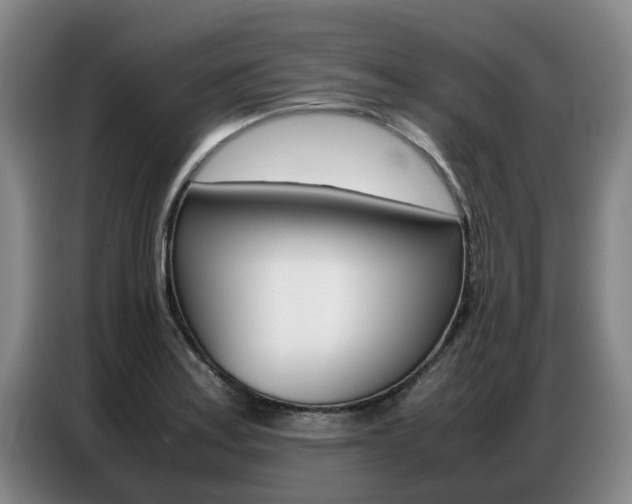 X0000087321179200704200733
