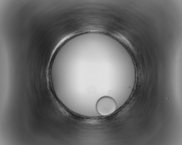 X0000087321182200704200733