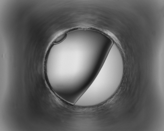 X0000087321183200704200733
