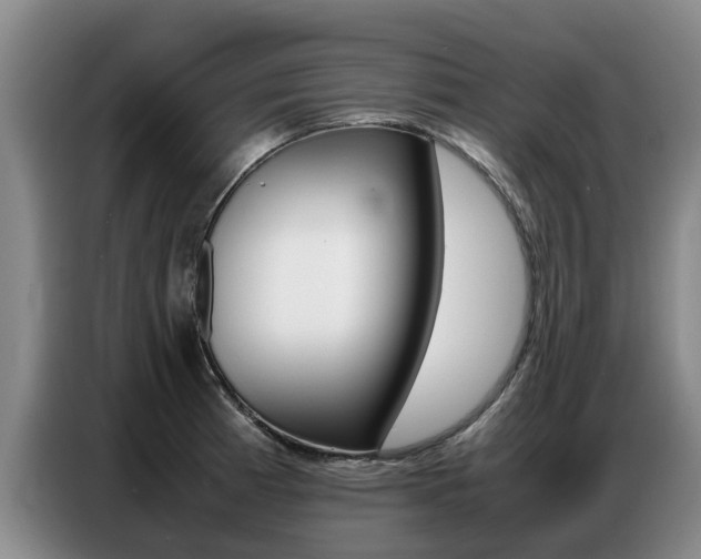 X0000087321185200704200733