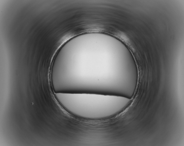 X0000087321186200704200733