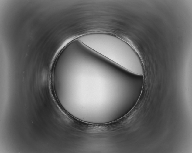X0000087321187200704200733