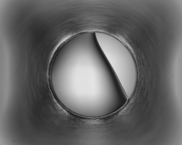 X0000087321189200704200733