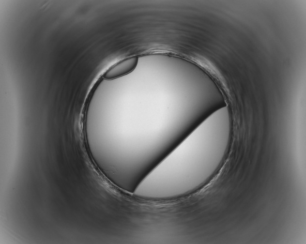 X0000087321190200704200733