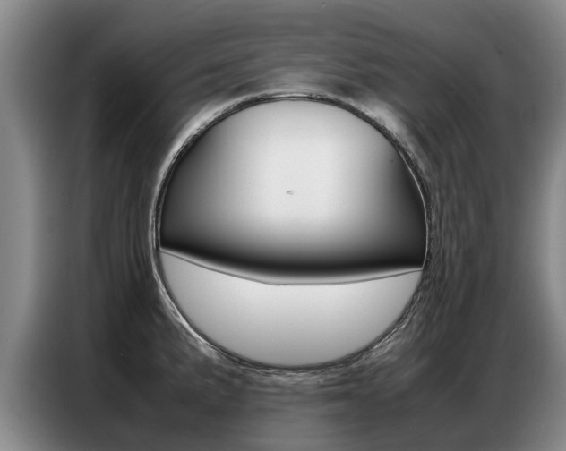 X0000087321191200704200732
