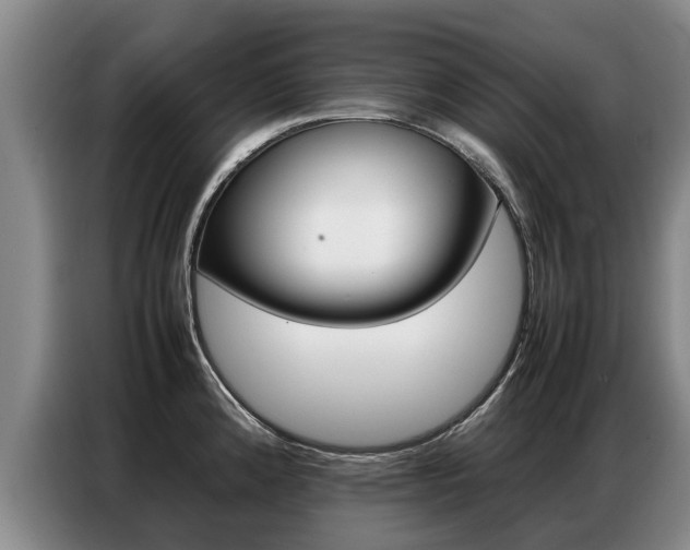 X0000087321192200704200732