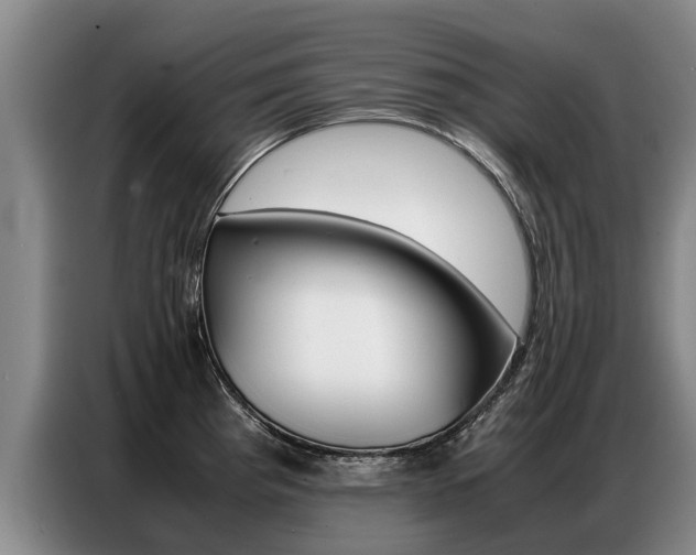 X0000087321193200704200732