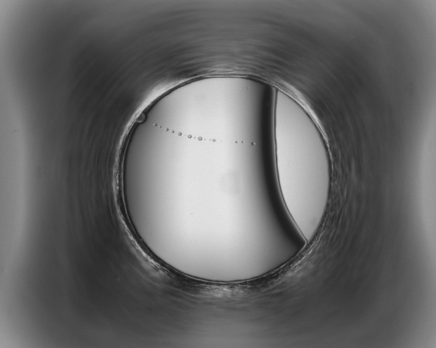 X0000087321195200704200732