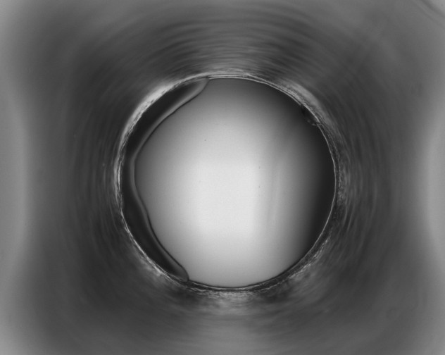 X0000087321196200704200732