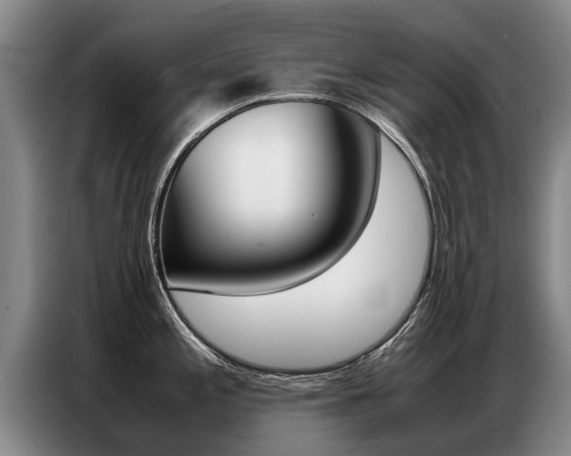 X0000087321197200704200732