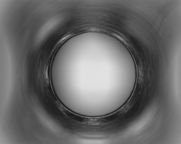 X0000087321198200704200732