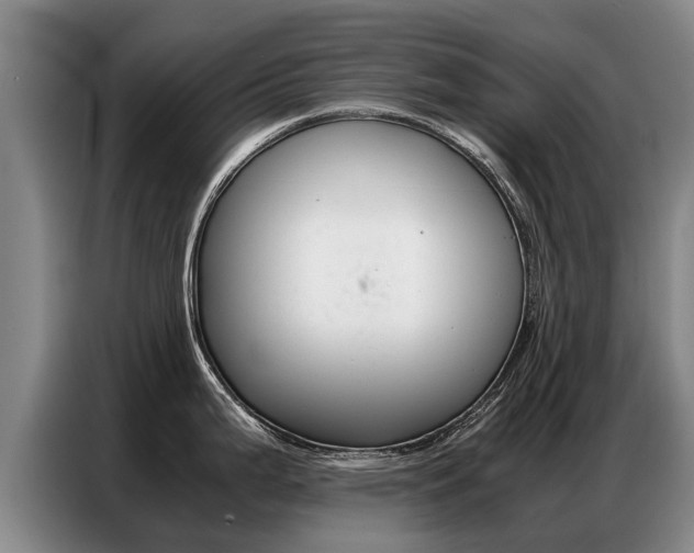 X0000087321199200704200732
