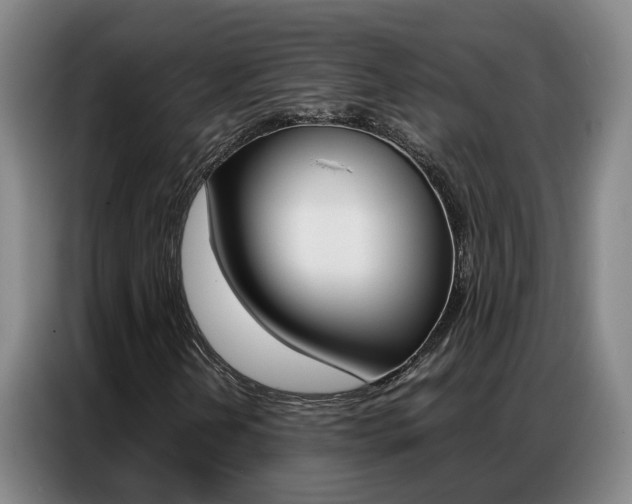 X0000087321202200704200732