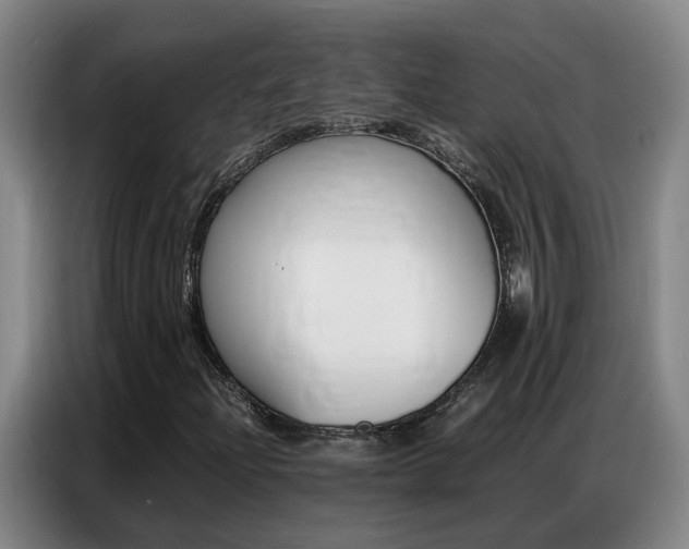 X0000087321204200704200732