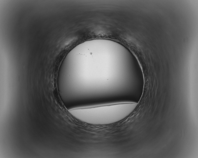 X0000087321205200704200732