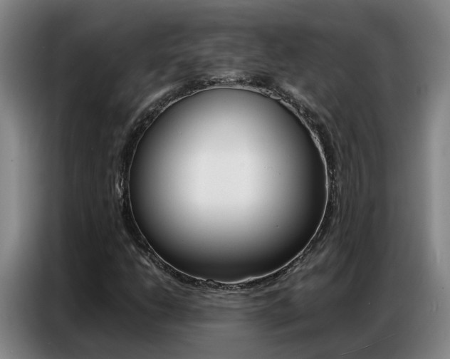 X0000087321206200704200732