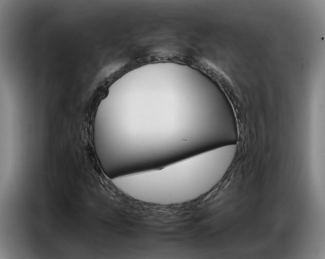 X0000087321207200704200732