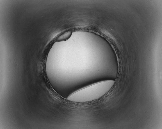 X0000087321208200704200732