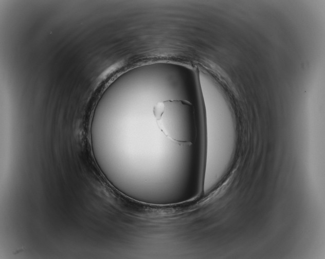 X0000087321210200704200732