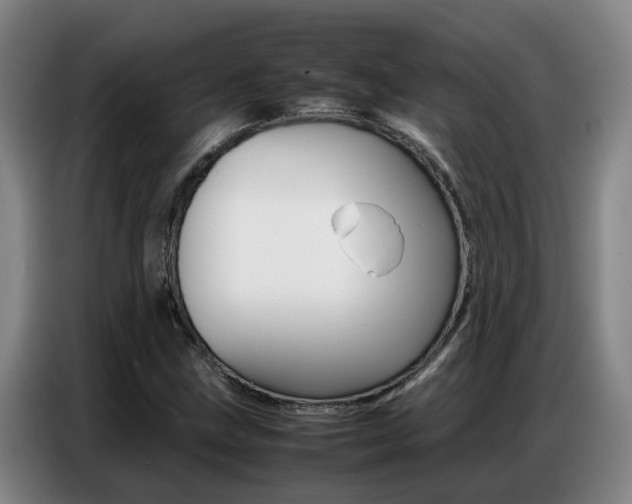 X0000087321211200704200732