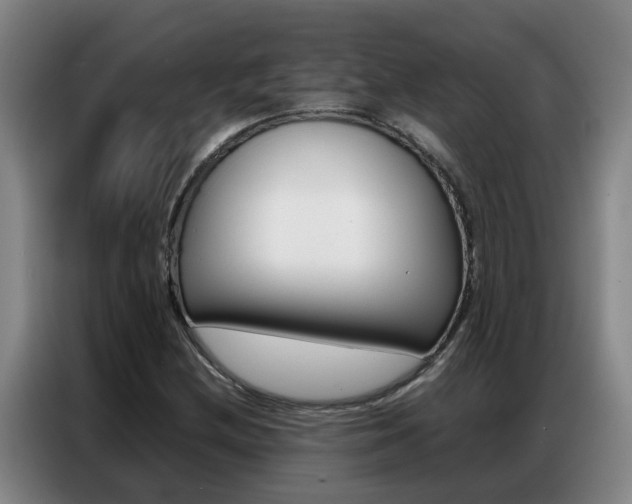 X0000087321212200704200732