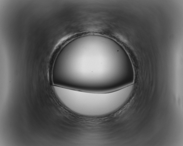 X0000087321214200704200732