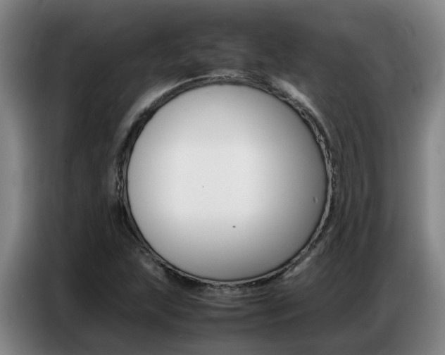 X0000087321215200704200732