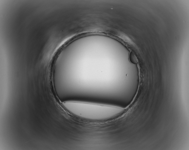 X0000087321216200704200732