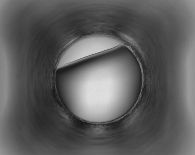 X0000087321217200704200732