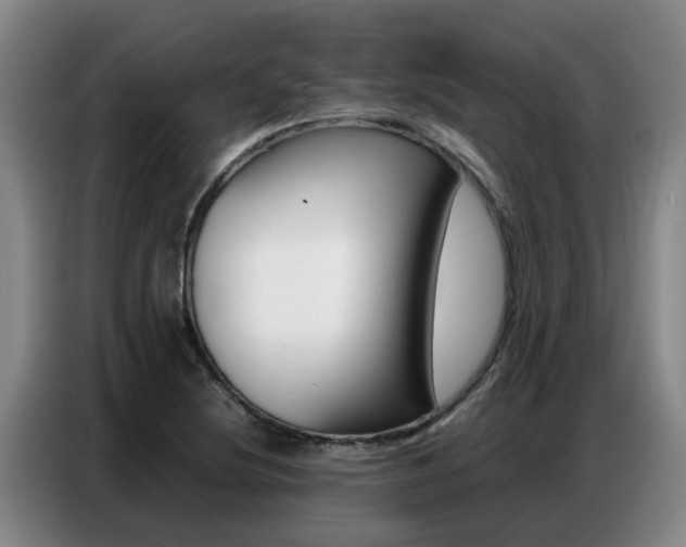 X0000087321220200704200732
