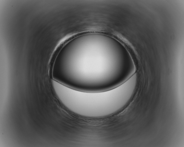 X0000087321222200704200732