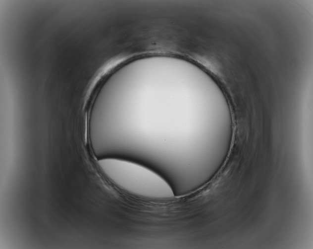 X0000087321223200704200732