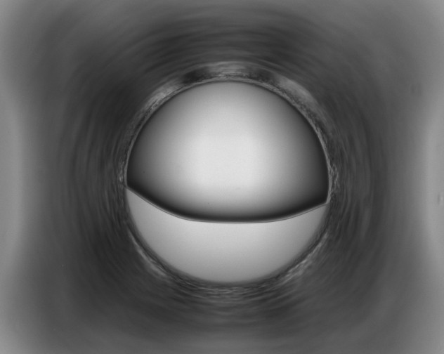 X0000087321225200704200732