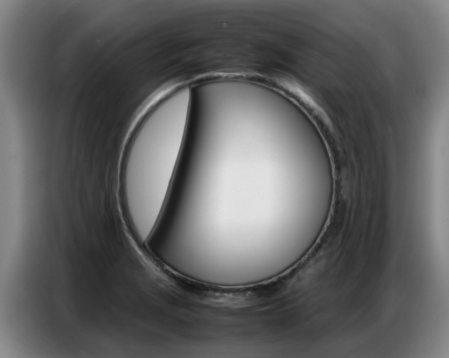 X0000087321229200704200732