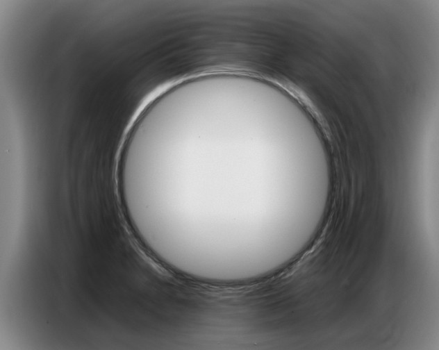 X0000087321230200704200732