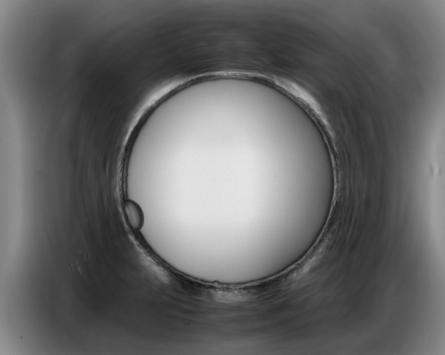 X0000087321231200704200732