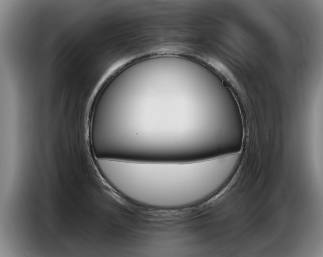 X0000087321232200704200732