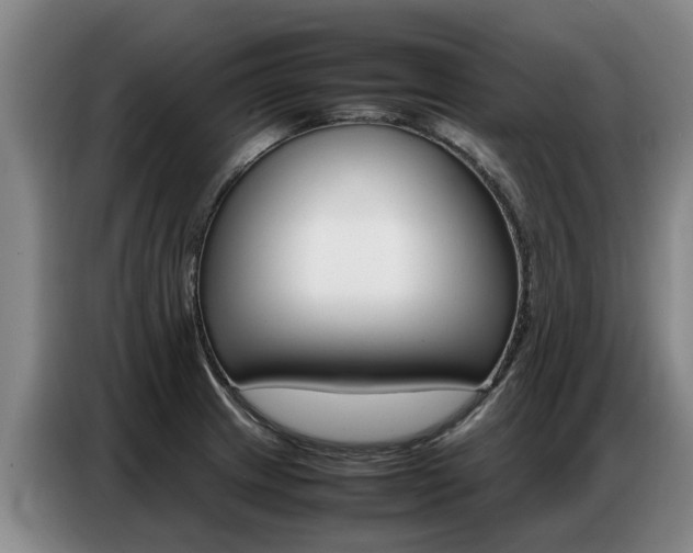 X0000087321233200704200732