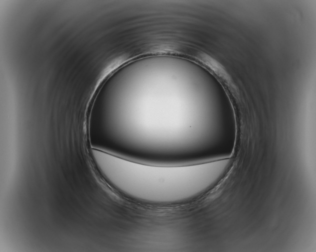 X0000087321234200704200732