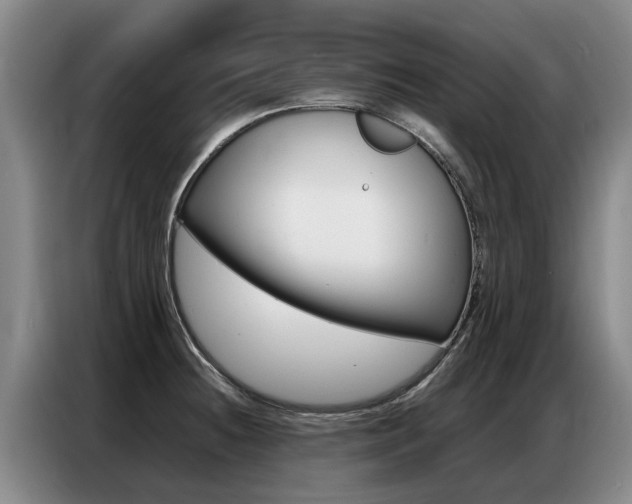 X0000087321236200704200732