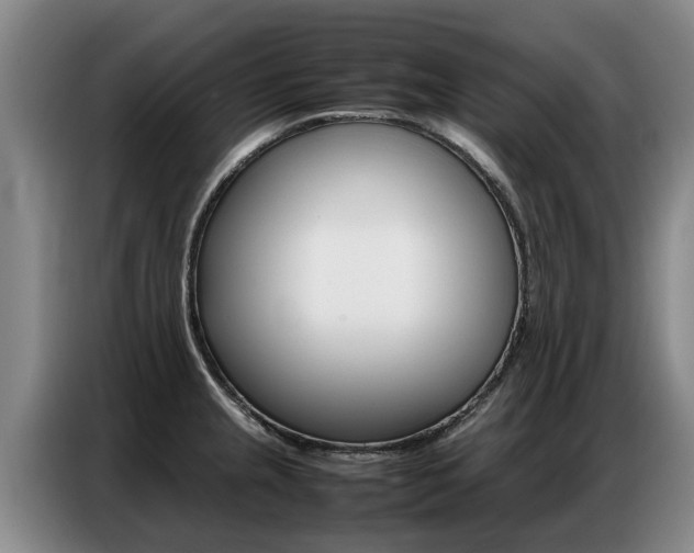 X0000087321237200704200732