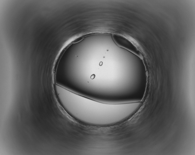X0000087321238200704200732