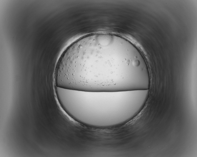 X0000087321239200704200732