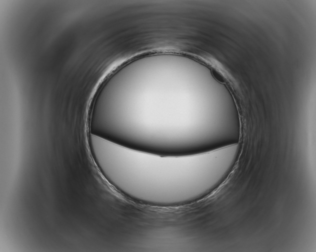 X0000087321240200704200732